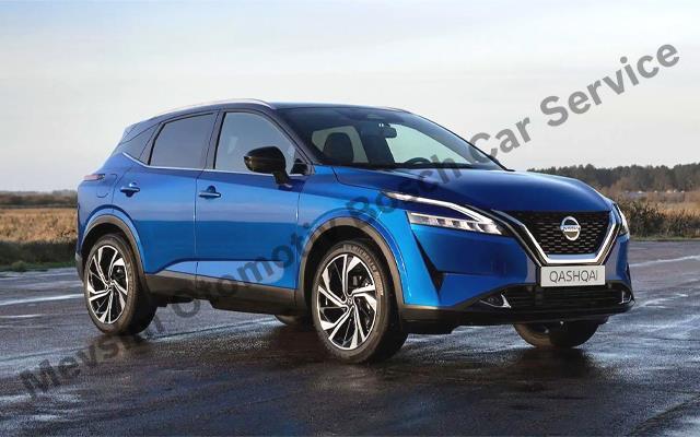 Diyarbakır Özel Nissan Servis